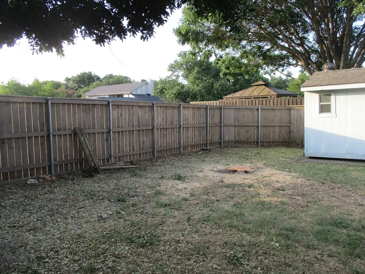 Cleared yard after professional tree removal in Durham