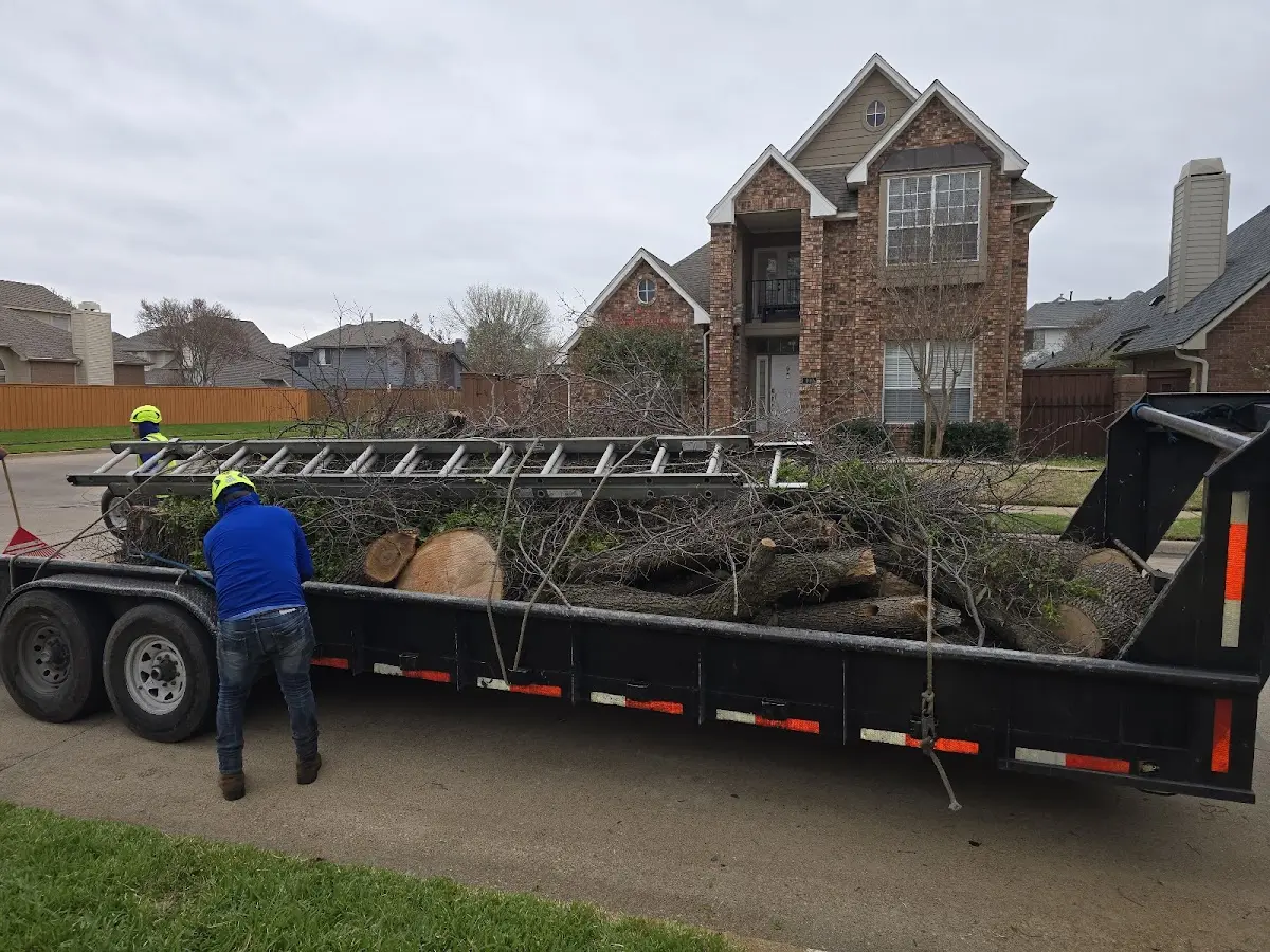Expert Lot Clearing with proper safety equipment in Durham